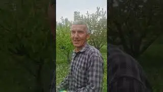 Маслиҳати боғдори касбӣ оиди парвариши боғи ГЕЛОС