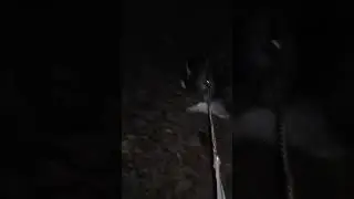 Хатика