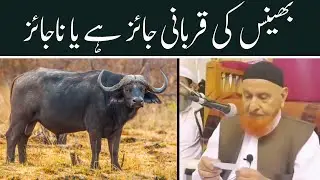 Buffalo Bhains ki Qurbani Jaiz hai ya Najaiz | Maulana Makki Al Hijazi @SadaqatOnline