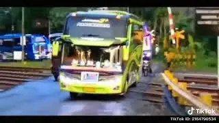 #Kumpulan Bus Oleng versi TikTok