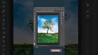 How to Remove or Change Tree's Background | Photoshop Tips & Tricks / 