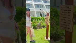 😅Coconut Predicts the Weather in Cancun #travel #cancun