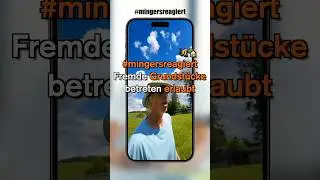 Fremde Gärten betreten erlaubt?! Für Imker schon! 🐝🏡 Diese Regelungen gelten! #mingersreagiert