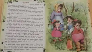 Жили-Были Ёжики  5  Черника