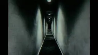 красивое видео