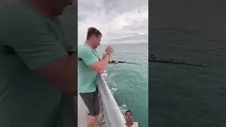 massive fish eats this bait #fishing #bait #shark #badfish #fish #baitandwait #ocean #bigbaits #tuna