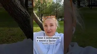 Иммиграция и жизнь в Грузии 2024 