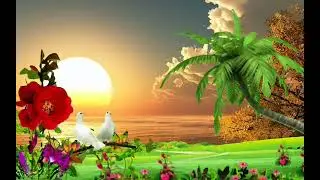 Background Green Screen Video || Green Screen Video || Video Background Green Screen