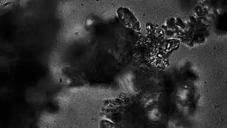 Aros Garcia x Ruff-T / Rize 1200 - (5) Bacteria - (Official Audio)
