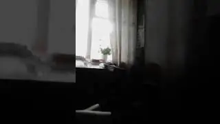 22 мая 2020 г.