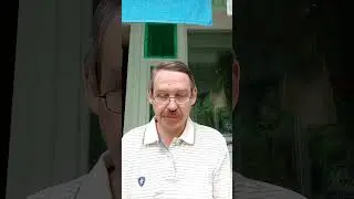 Овечку води за собой