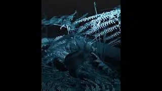 I want to own one of these guys //#fyp #kiwibird #kiwibirdedit #edit