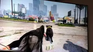 Gta 5 te hayvan olmak ps4