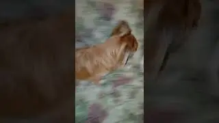 Наше,семейное...