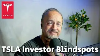 TSLA Stock: Opportunities & Blindspots