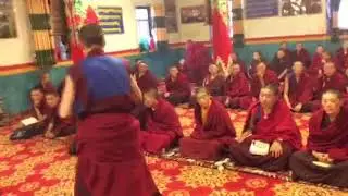 བོད་ཀྱི་གཡུང་དྲུང་བོན་བཙུན་རྣམ་པས་མཚན་ཉིད་རིགས་པའི་གཞུང་ཆེན་རྣམས་སུ་ལོངས་སྤྱོད་པ།