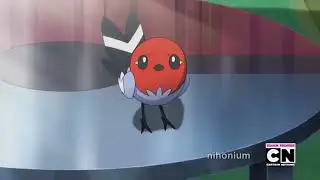 poké-birb