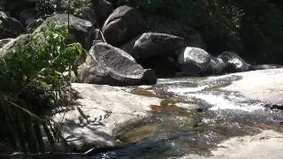 01218 tere park SCENE