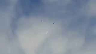 Утренний подъём голубей 12 03 2024 г