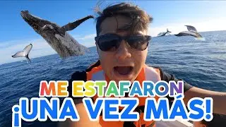 Conociendo las BALLENAS de Cabo San Lucas!  | Julio iero