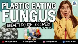 The Plastic-Eating Fungus: A Breakthrough Discovery | Discovery of the Century | Plastic Pollution