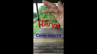 Цигун. Первые шаги. Искусство Шоу-дао