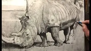 Come disegnare un rinoceronte parte 18