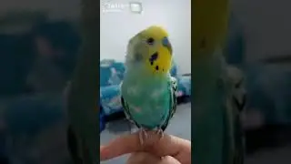 когда зовёшь всех на концерт!