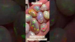 Натуральные опалы из Эфиопии с яркими переливами всех цветов радуги