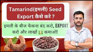 How to Export Tamarind Seed  इमली  🌍 | Profit Making Business 2024 💰 | Rajnish Sir | CIES