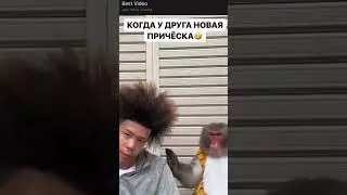 За пострижку …