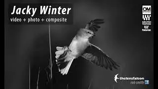 Jacky Winters captured with the OM1