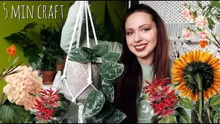 Easiest macrame PLANT HANGER on the internet!