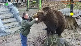 Андрей Пришёл