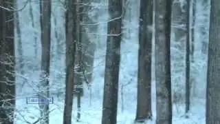 Winter Feelings... - music Igor Dvurechensky