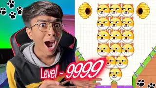 Most Hard Level Ever in Save the Dog 🤯