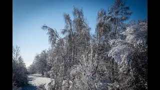 Winter Wonderland