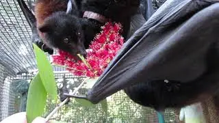 Dame Kath Turns Her Nose Up At Mother Nature's Bouquet