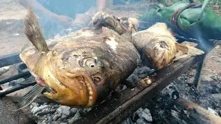 Bolivia, selva, pescados