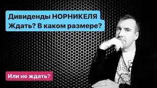 Дивиденды НОРНИКЕЛЯ 2023. Ждать или не ждать, а если ждать, то сколько?