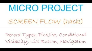MICRO PROJECT :  Screen Flow|Record Types|Pick list|Conditional Visibility|List Button|Navigation