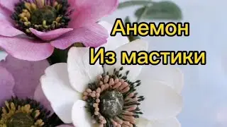 ОЧЕНЬ КРАСИВЫЙ ЦВЕТОК ИЗ МАСТИКИ. ПОЛНЫЙ МК.