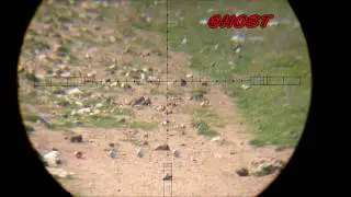 EDgun Matador Standard .22 air rifle long range shooting