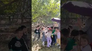 Тоза хаво