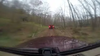 покатушки по лесу