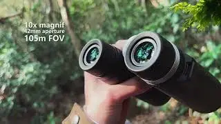 YBR29 10X42 HD binoculars