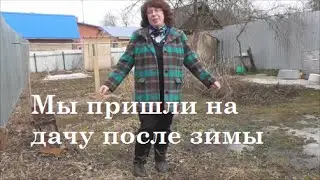 Гуляем по даче
