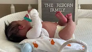 Reborn Family adopts a baby | Silicone Reborn  comes to life during Box Opening🤰🏻👶🏻🤯🥳