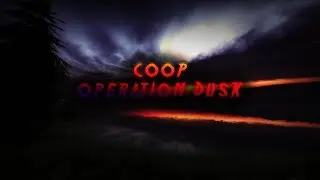 COOP OPERATION DUSK | CS:GO