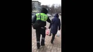 г. Череповец, бабушка перешла дорогу в неположенном месте